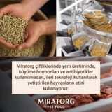 Prime Sterilised Gravy Kısırlaştırılmış Tavuklu Kedi Yaş Maması 80 gr x 24 Adet - 0,01 gr