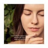 Prime VILLAGE11FACTORY Village 11 Factory Miracle Youth Cream 50 ml – Vegan%0.1 Retinol Krem - Option-1