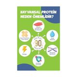 Prime Yetişkin Somon'lu Süper Premium 1,5 kg Somonlu Kedi Maması - Hipoalerjenik - Düşük Tahıllı - Yüksek Hayvansal Protein Oranlı - Tüy Dökülme Engelleyici - Kolay Sindirilebilir - Kuru Kedi Maması - 0,01 gr
