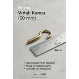 Primeaks 12 Adet Mini Kancalı Piton Vida 3 cm 30 mm Küçük Askı Kancası