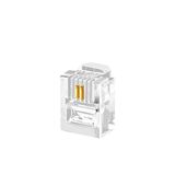 PrimeX Plus PX-6P2C RJ11 2 Pinli Konnektör, 100’lü Paket 6P2C RJ11 Telefon Jack, Telefon Kablo Ucu, Modem DSL Hat Kablosu Uçlandırma Konnektörü, Şeffaf RJ11 Plug