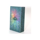 Prisma Visions Tarot Kartı