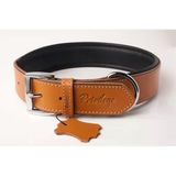 Privilege Hakiki Deri Köpek Boyun Tasması M Camel 3X38-47 cm