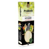 Pro Birds Kalamar Kemiği xxl