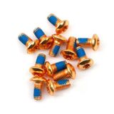 Pro Bisiklet Scooter Fren Disk Vidası Rotor Civatası 6 Vida Mtb Rotor Vidası 12Li Paket Gold Sarı