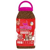 Pro Canine Professional Kuzu Etli Kitten 5 lt Kedi Maması