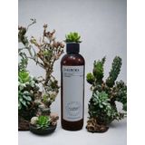 PRO MAC NASH KOKU MAKİNASI-DİFFUSER ESANS YAĞI 250 ML. HER MAKİNAYA UYGUN