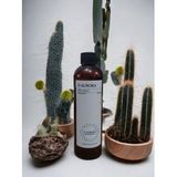 PRO MAC PROPUS KOKU MAKİNASI-DİFFUSER ESANS YAĞI 250 ML. HER MAKİNAYA UYGUN