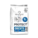 PRO NUTRİTİON Pro Nutrition Dog Veterinary Obesite Köpek Maması 2kg