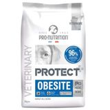 Pro Nutrition Protect Veterinary Obesite Kilo Kontrolü İçin 12 kg Köpek Maması