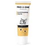Pro One 100 gr Kediler İçin Glukozamin İçerikli Macun
