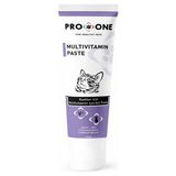 Pro One 100 gr Kediler İçin Multivitamin Macun