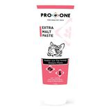 Pro One Kediler için Tüy Yumağı Önleyici 100 gr Malt Paste