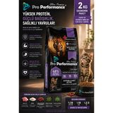 Pro Performance Anne Ve Yavru Kediler İçin Kuzu Etli Kedi Maması 2 Kg Yüksek Proteinli Tam Beslenme