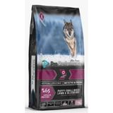 Pro Performance Kuzu Etli Yabanmersinli Yavru Köpek Maması, 2 kg