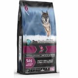 Pro Performance Ultra Premium Kuzulu ve Yaban Mersinli Küçük Irk 12 kg Yavru Köpek Maması