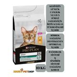Pro Plan ADULT RENAL PLUS TAVUKLU YETİŞKİN KEDİ MAMASI (10KG)
