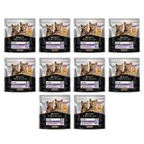 Pro Plan Kitten Tavuklu 10x400 gr Yavru Kuru Kedi Maması