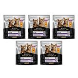 Pro Plan Kitten Tavuklu 5x400 gr Yavru Kuru Kedi Maması