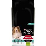 Pro Plan Medium Kuzu Etli Yetişkin Köpek Maması 14 kg Hassas Sindirim İçin Özel Formül