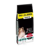 Pro Plan Proplan Adult Lamb Kuzu Etli Yetişkin Köpek Maması 14+2,5 Kg