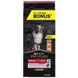 Pro Plan Proplan Somonlu Orta Irk Hassas Derili Yetişkin Köpek Maması 14kg + 2,5kg HEDİYE!