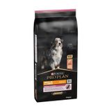 Pro Plan Senior Sensitive Hassas Somonlu 14 kg Yaşlı Köpek Maması