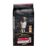 Pro Plan Sensitive Adult Somonlu Yetişkin Köpek Maması 10kg