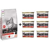 Pro Plan Somonlu 1.5 kg Yetişkin Kedi Maması + 6x85 gr Adult Tavuk Etli Yetişkin Kedi Konservesi