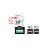 Pro Plan Veterinary Diets Gastrointestinal 1.5 Kg Kedi EN Kuru Mama 4'lü Koli (Yaş Mama Hediyeli)
