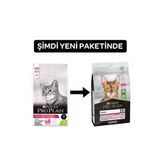 Pro Plan Yetişkin Kedi Delicate Kuzu Etli Kuru Mama, 10 kg