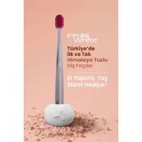 Probi White Himalaya Tuzlu Diş Fırçası (Gri) + Özel Tasarım Taş Stant - 0315 Gri