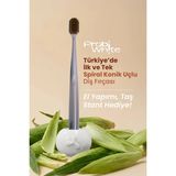 Probi White Spiral Uçlu Diş Fırçası (Gri) + Özel Tasarım Taş Stant - Antrasit