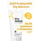 Probident Aktif Probiyotik Doğal Florürsüz Diş Macunu Akgünlük Özüt Ilaveli Diş Ve Diş Etleri Için Koruma