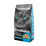 Prochoice 1 kg Pro 34 Somonlu Yetişkin Kedi Açık Mama