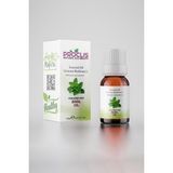 Proclis Fesleğen Yağı, 100 Doğal Uçucu Yağ, Basil Oil, Ocimum Basilicum L. 10ml - 10 ml