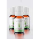 PROCLİS Palmarosa Yağı, Uçucu Yağ, Palmarosa Oil, Cymbopogon Martini 3x10 ml, 3'lü Set