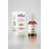 Proclis Sprey Başlıklı 10 ml Sığla Uçucu Yağı