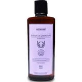 Prof Saracoğlu 350 ML Organik Lavanta Şampuanı