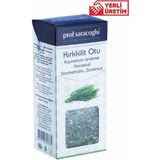 Prof Saraçoğlu Atkuyruğu (Kırkkilit ) Grbitki 60 gr - Bitki Çayı