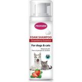 Profarm Kedi Köpük Şampuan Çilek Özlü 150Ml