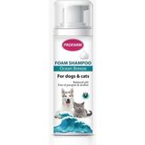 Profarm Kedi Köpük Şampuan Okyanus Özlü 150ML