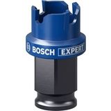 Professional 1x Expert Sheet Metal Delik Açma Testeresi (Paslanmaz çelik saclar, Ø 20 mm, Aksesuar Darbeli Matkap/Vidalama)