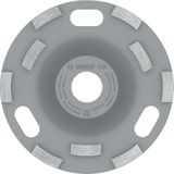 Professional Accessories 2608601763 Elmas Taşlama Diski Expert Açılı Taşlama Makinesi (Beton Için, Taşlama Diski: 125, Delik Çapı: 22,23 Mm, Beton Bileyici Için Aksesuar)
