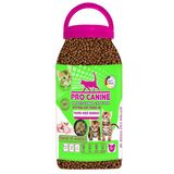 Professional Tavuk Ve Sebzeli Kitten Kedi Maması 5 Lt