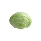 Profesyonel Beyaz Lahana Tohumu - 5 Gram