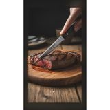 Profesyonel Verzalit Saplı 23 cm Steak ve Biftek Et Bıçağı