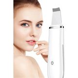Profesyonel Yüz Cilt Temizleme Cihazı Cilt Kazıyıcı ve Yüz Spatulası Peeling Aleti