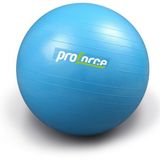 PROFORCE PİLATES TOPU 65 CM 1100 GR