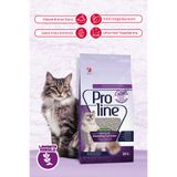 Proline Lavanta Kokulu Bentonit Kedi Kumu 20 Litre